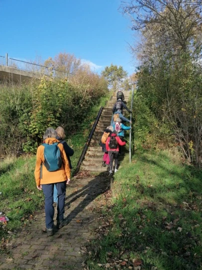 Wandelen de groene wissel 99 in Zwijndrecht 18 November 2025